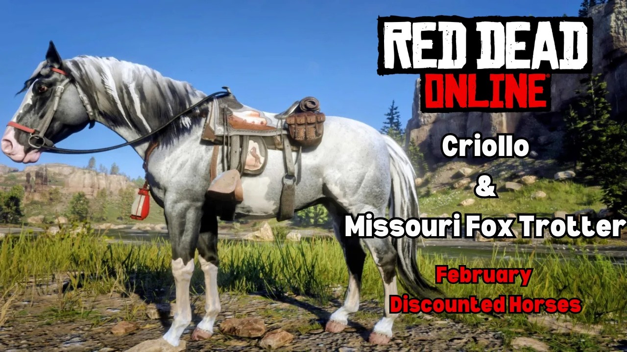 RDO February Discounted Horses: Criollo & Fox Trotter