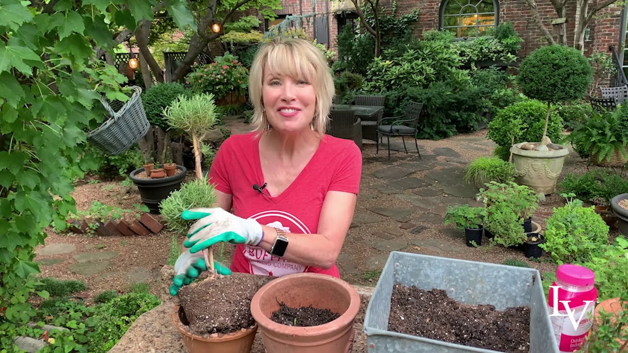 Repotting Topiary and Herbs // At the Potting Bench 🌷  YouTubeGardenDaily  🌷
