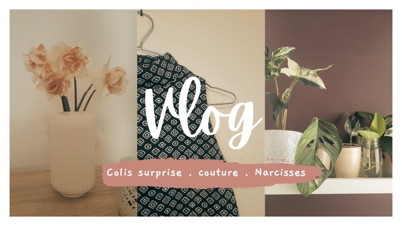 Vlog #2 - Colis surprise, couture et narcisses.