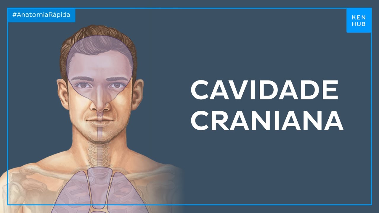 Cavidades do corpo: Cavidade craniana - Anatomia F&aacute;cil | Kenhub