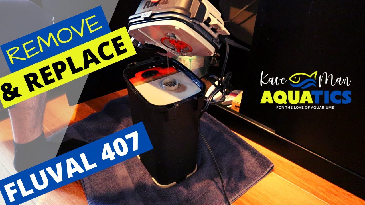 Fluval 407 Canister Filter - Remove and Install (Part 1)