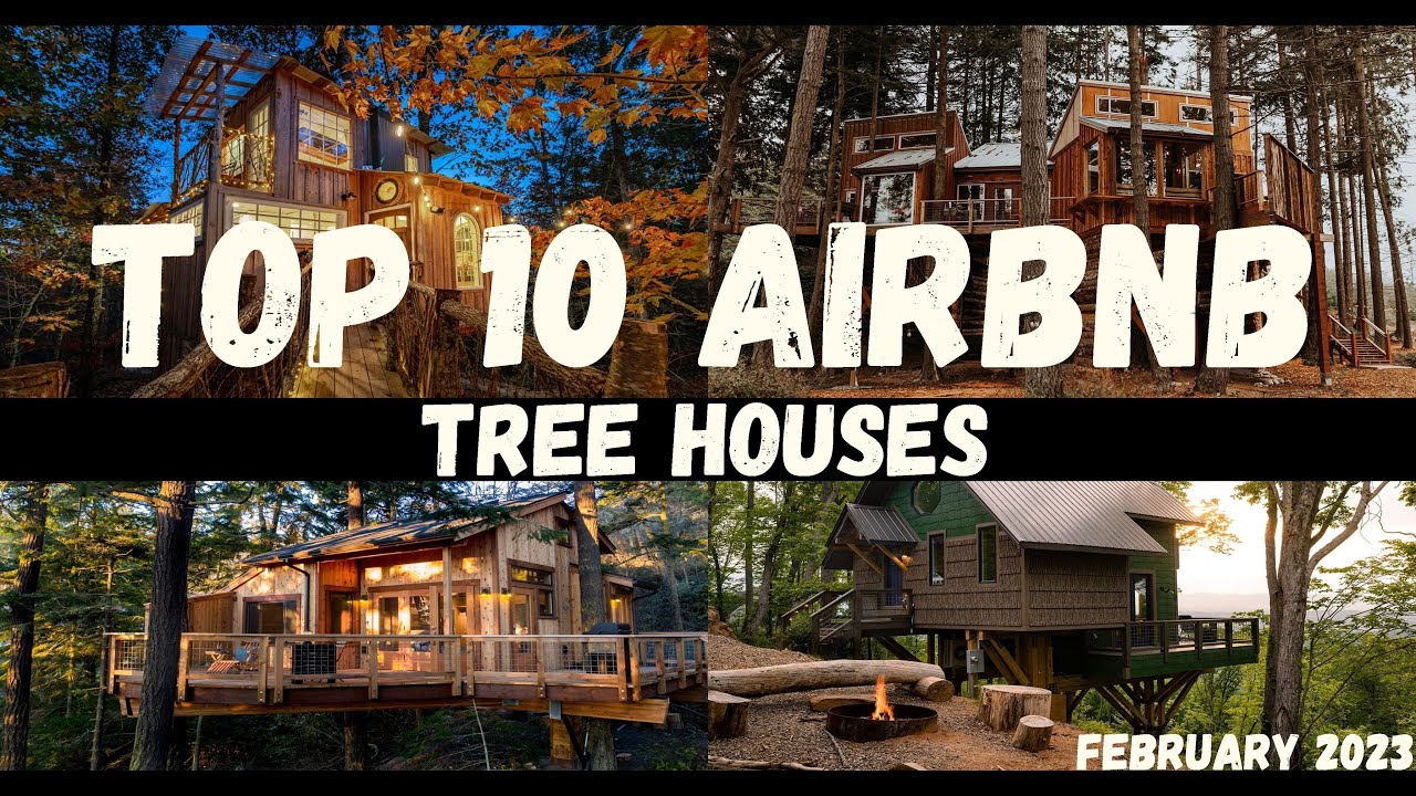 10 лучших домов на деревьях по версии AIRBNB | Февраль 2023 г.