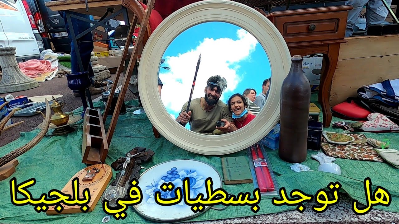 هل توجد بسطيات في بلجيكا