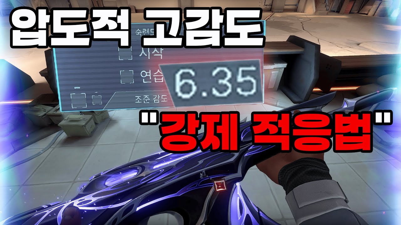 감도 10을 적응 한 사람이 알려주는 압도적 고감도 강제 적응법!