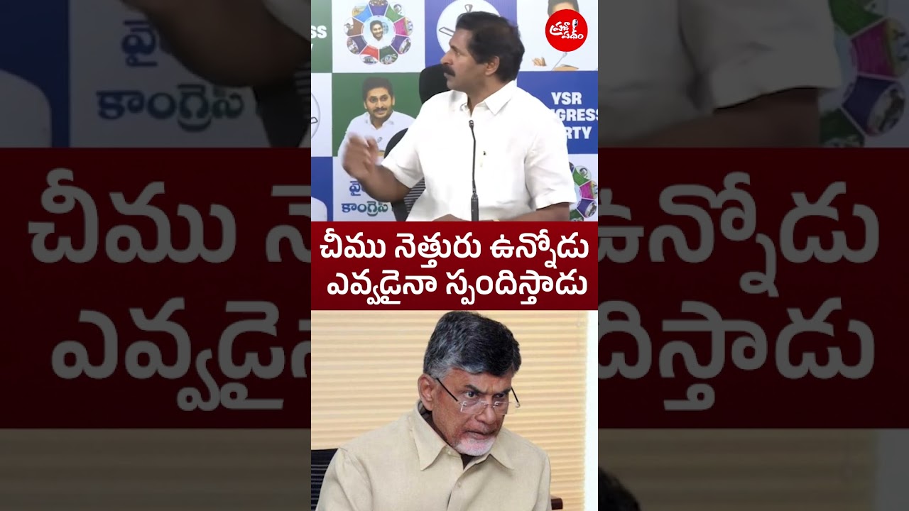 Anyone who has pus and blood will respond #ysrcp #ysjagan #chandrababu #appolitics #tdp