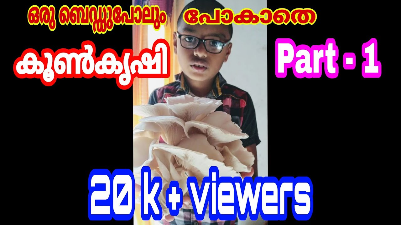 Mushroom cultivation CORONAകാലത്ത് എങ്ങനെ  വീട്ടിലിരുന്നു  കൂൺ  കൃഷിയിലൂടെ  നല്ല വരുമാനം  ഉണ്ടാക്കാം