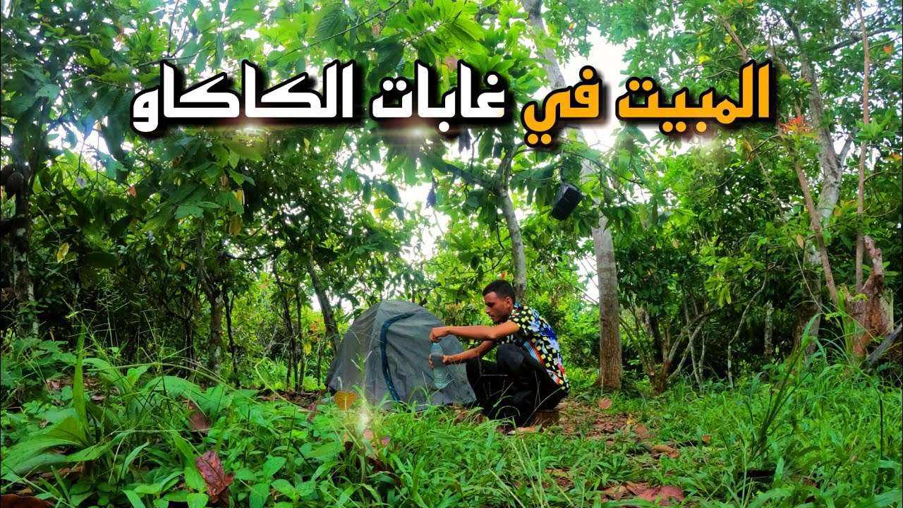 87 |😀ليلتين في غابات الكاكاو بغرب الكوت ديفوار 🔥‼️ من المغرب إلى السعودية