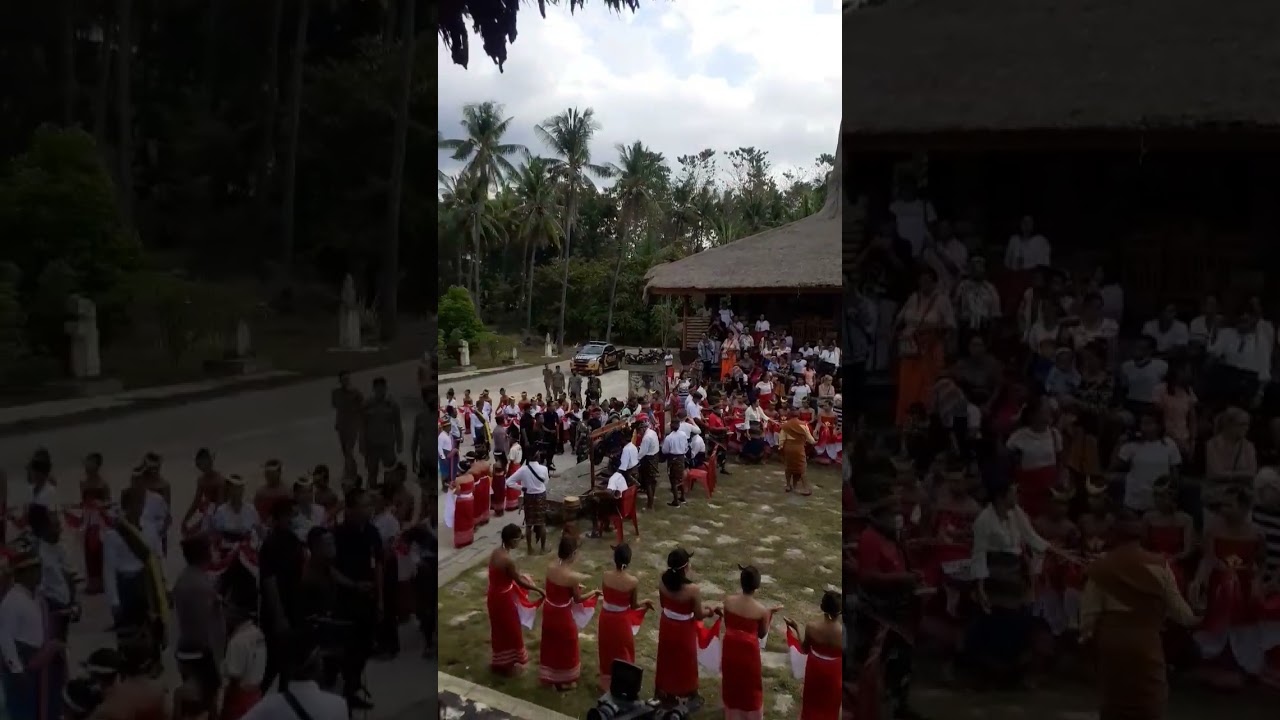 Festival Tarian Tradisional - Sumba Barat Daya #short #shorts  #danaindonesia #simpleli