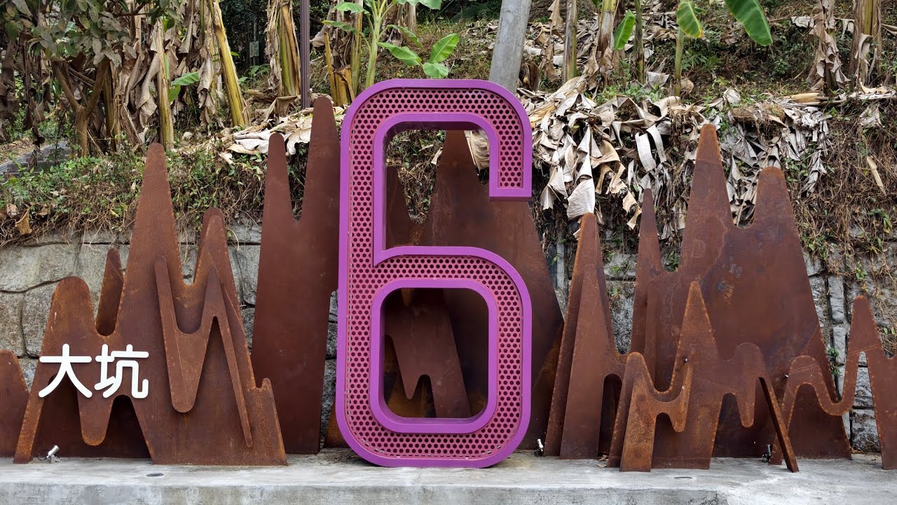 2026/02/05 大坑登山步道8號接6號