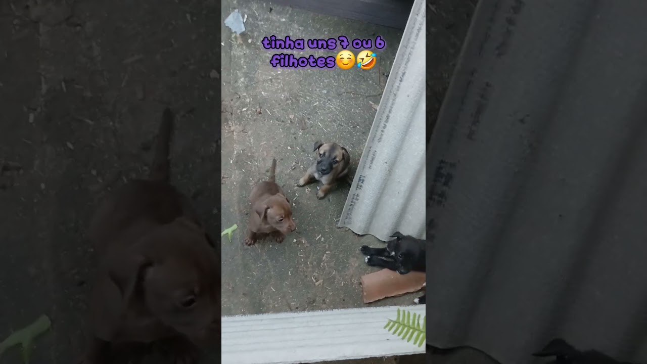 espero q seu coração fique feliz com esse video💖 // 