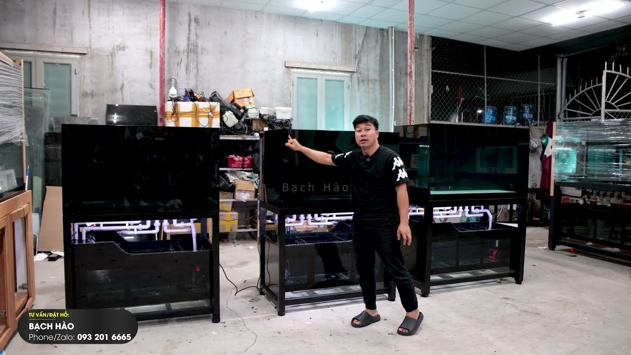 HỒ CÁ CÔNG NGHỆ 