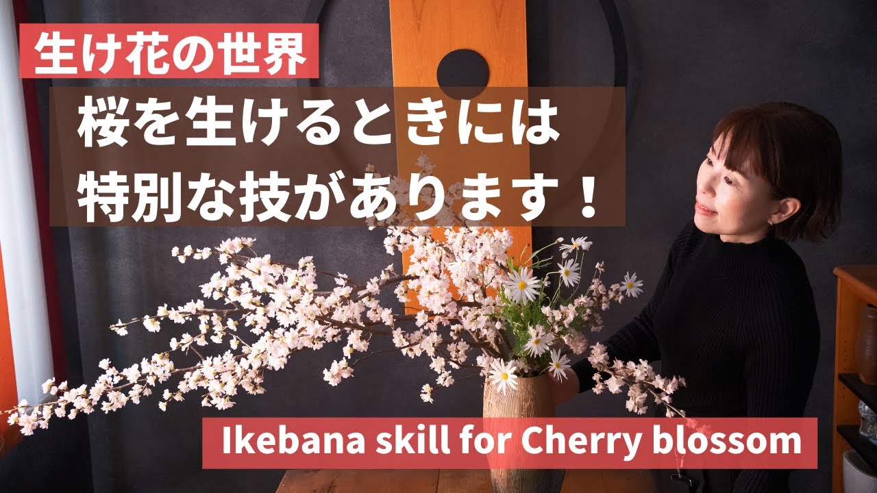 生け花の世界では、桜の花をいけるのにある技を使います！　華道家が伝授・お家でお花をおしゃれにいける方法【華道家・大谷美香】
