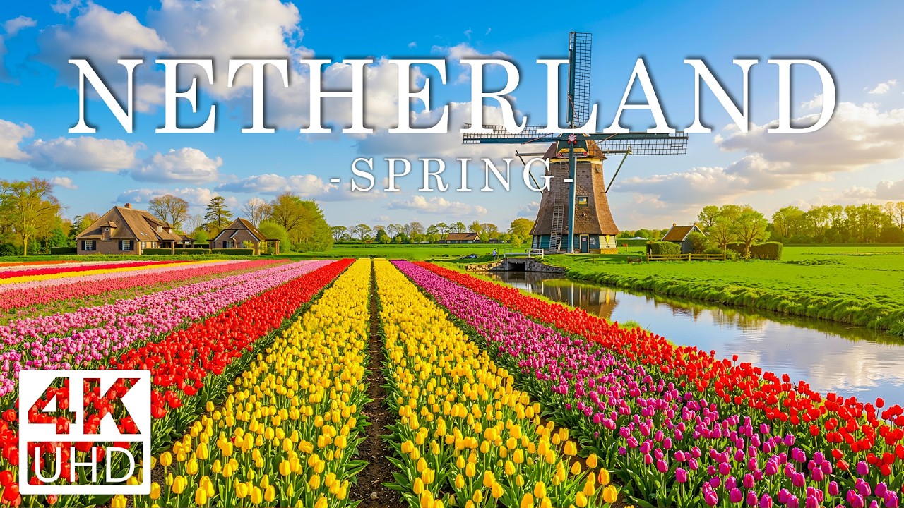 Netherlands 4K 🇳🇱 Timeless Dutch Countryside, Historic Windmills & Green Pastures | Calming View