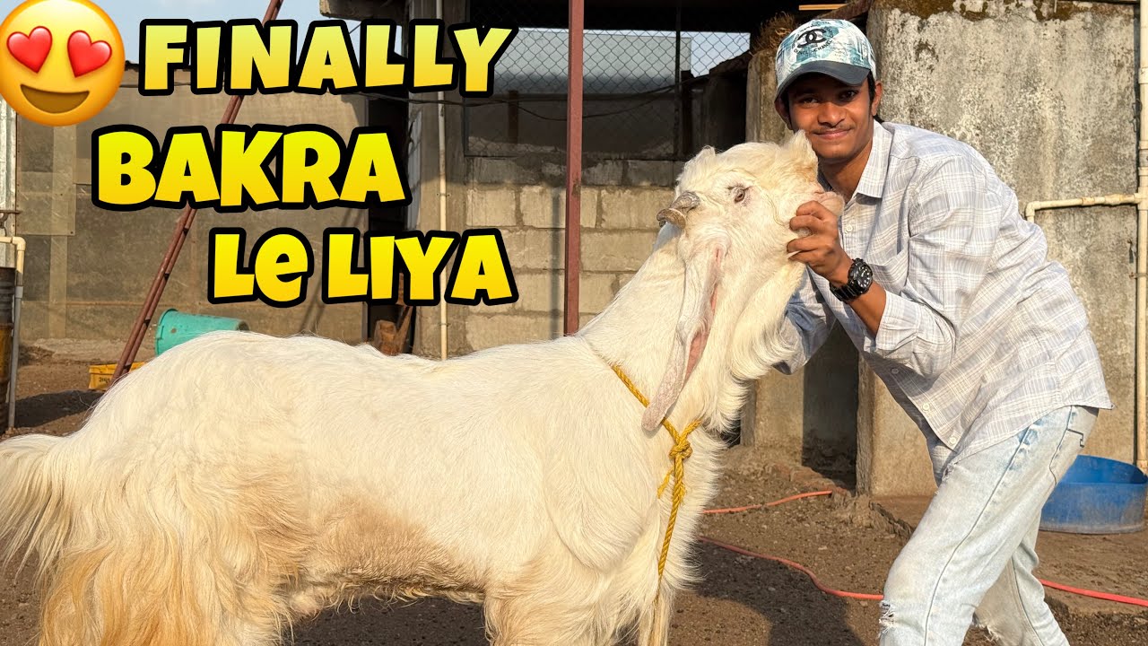 Finally Qurbani Ka Bakra Le Liya || MD ANAs VLOGs