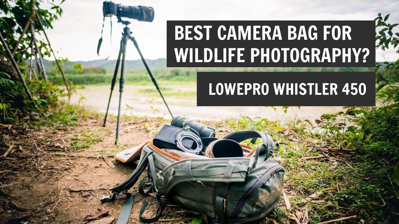 Best camera bag for Wildlife Photography? - Lowepro Whistler 450 review