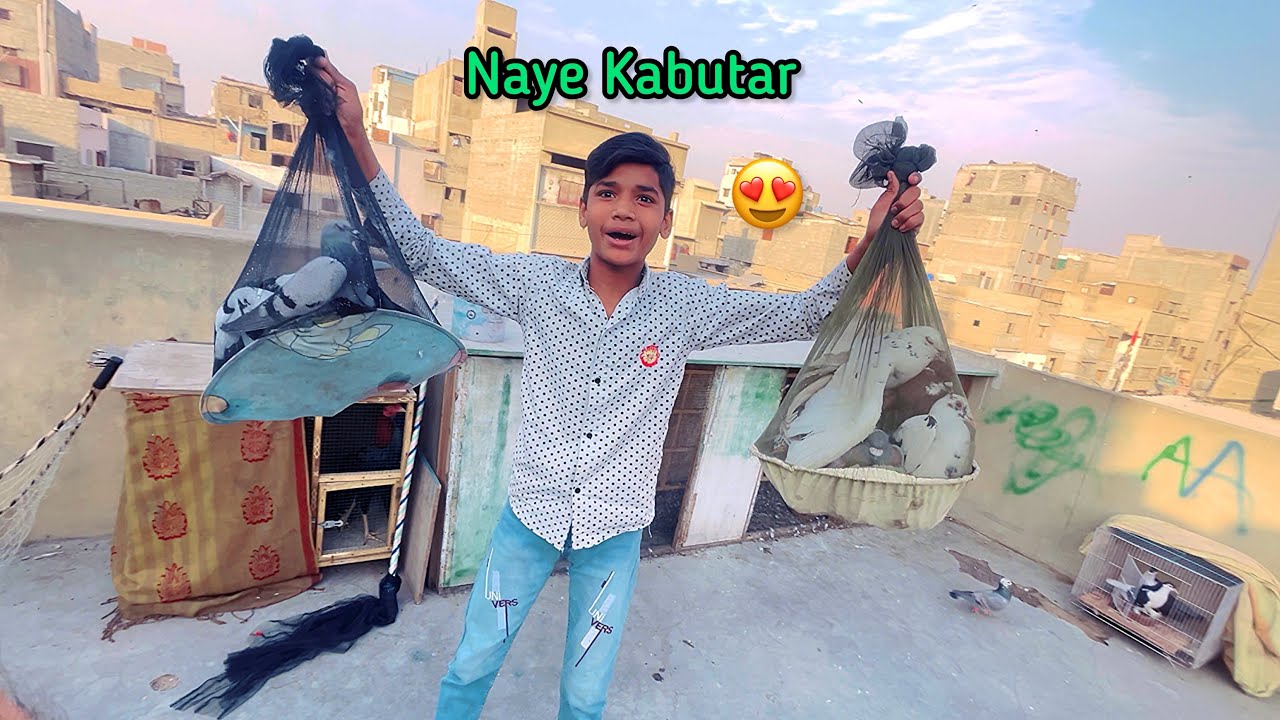 Hamare Naye Kabutar A Gaye 🎁