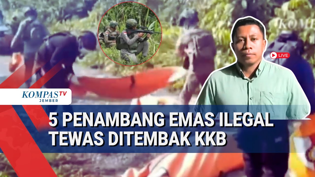 Tragedi di Yahukimo! 5 Penambang Emas Ilegal Tewas Diserang KKB, Evakuasi Masih Berlangsung