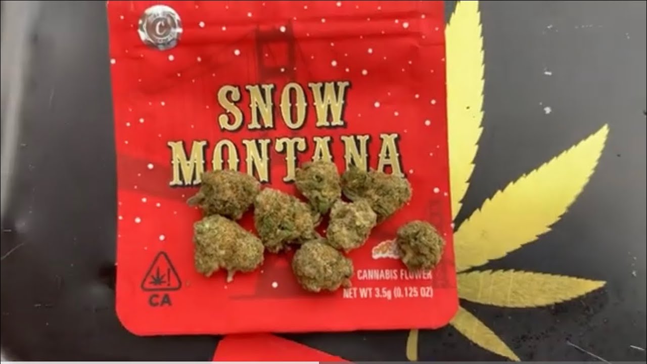 COOKIES HAYWARD SNOW MONTANA NEWEST STRAIN