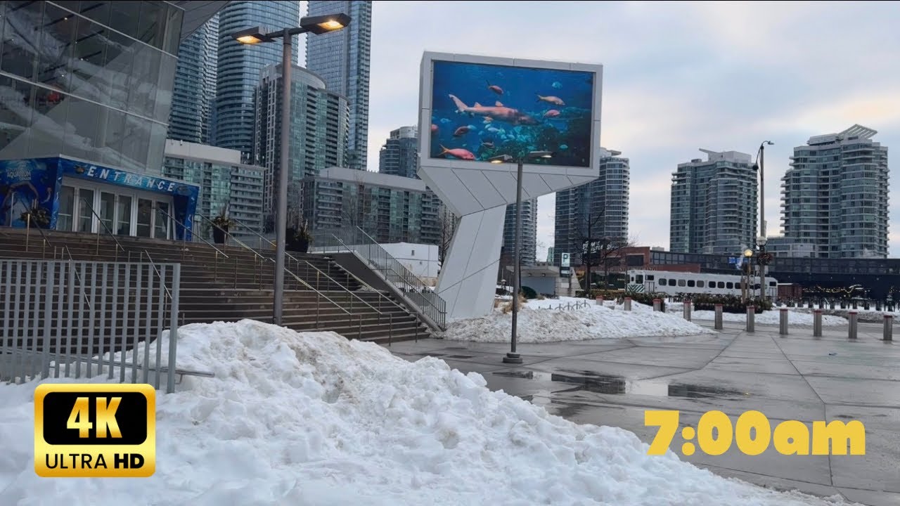 Relaxing morning walk around Ripley’s Aquarium Downtown Toronto 🇨🇦