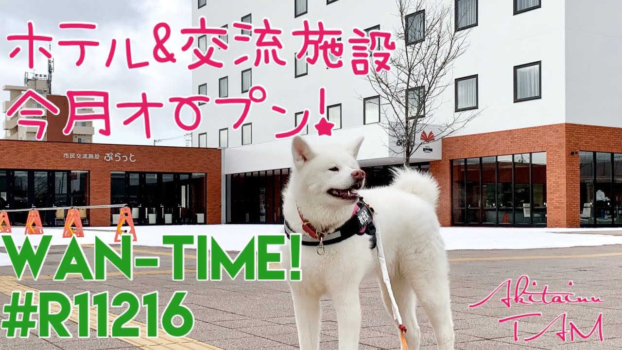 愛犬と「野幌JR駅周辺」を散策！（北海道江別市）
