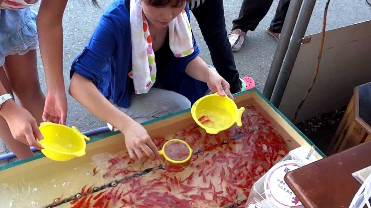 寒河江祭り　金魚すくい