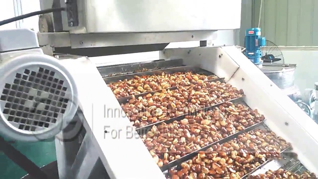 Beans Frying Production Line|Nut Fryer|Soybean Frying Machine Price