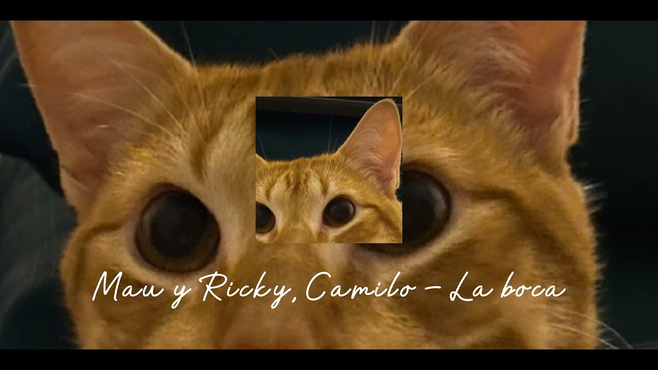 La boca (Seed Up) - Mau y Ricky, Camilo