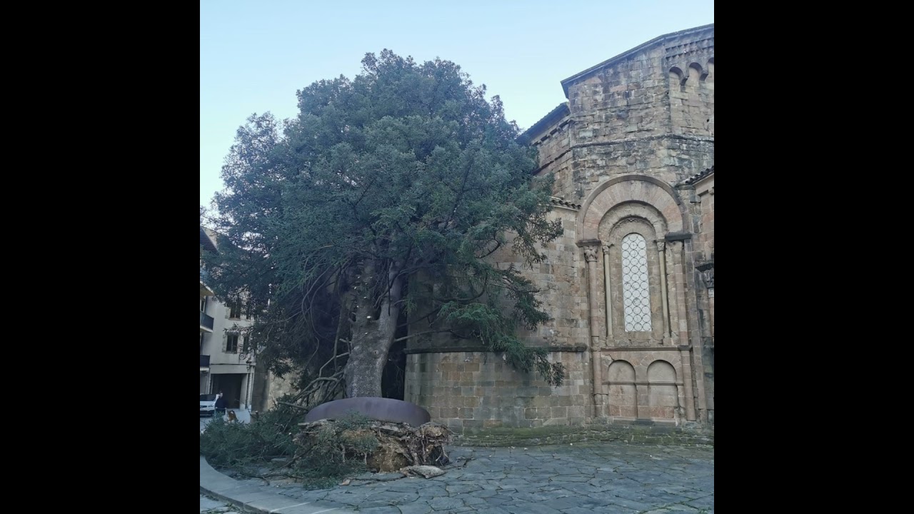 Les fortes ventades d’aquest diumenge tomben un munt d’arbres i provoquen desperfectes arreu del ...
