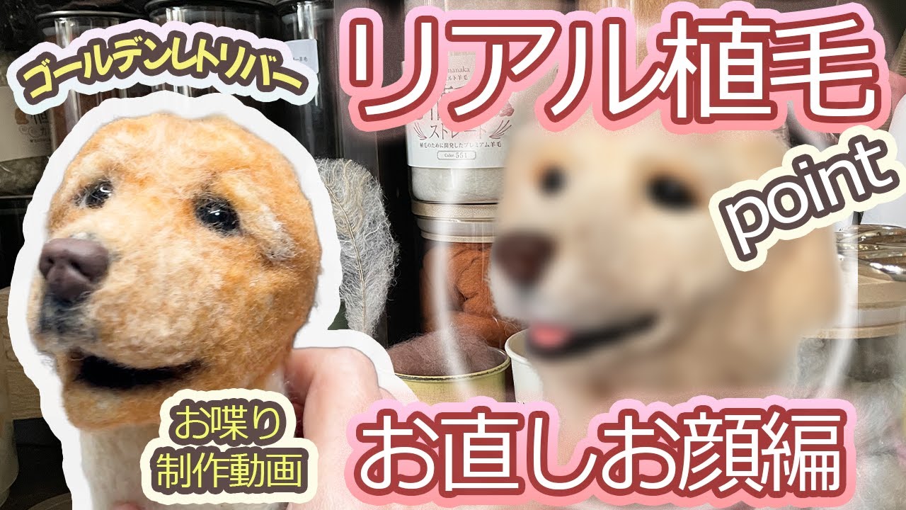 【羊毛フェルト造形】初心者さんでもデキル！失敗した時の対処とリアル植毛ポイントを抑えながら紹介（私の場合）使用羊毛も紹介します
