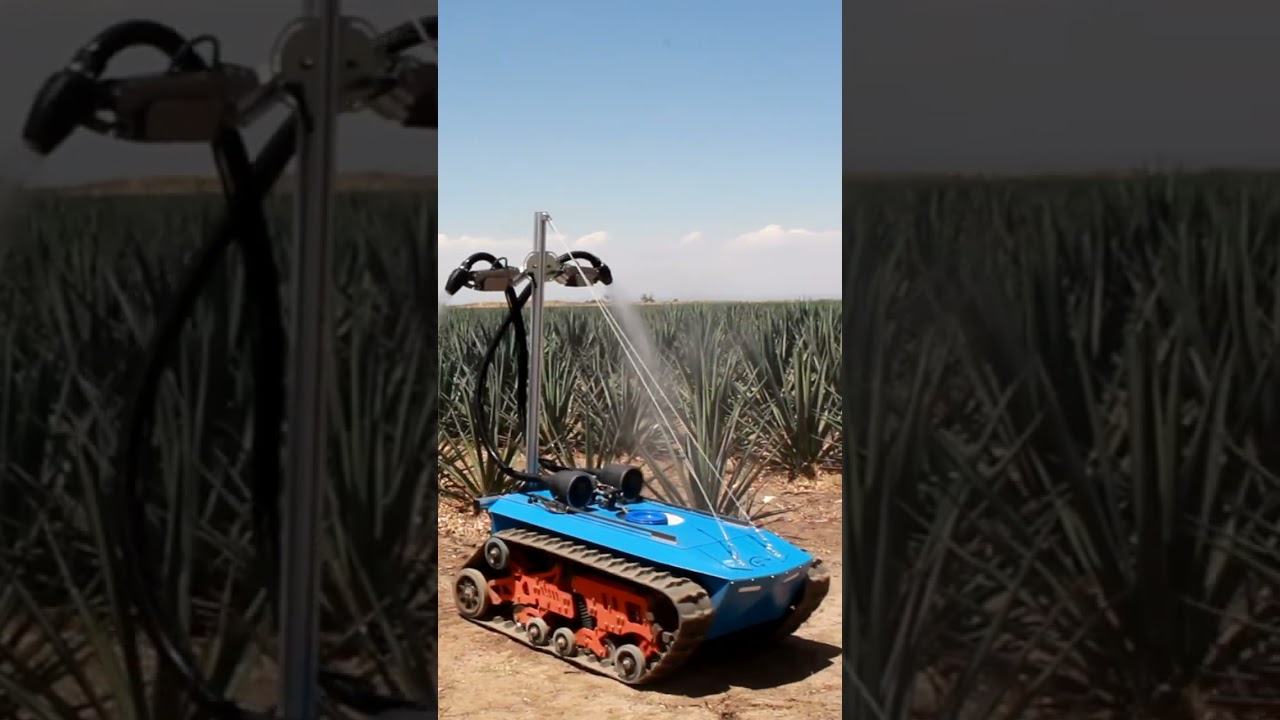 Aplicaciones con drone terrestre en agave