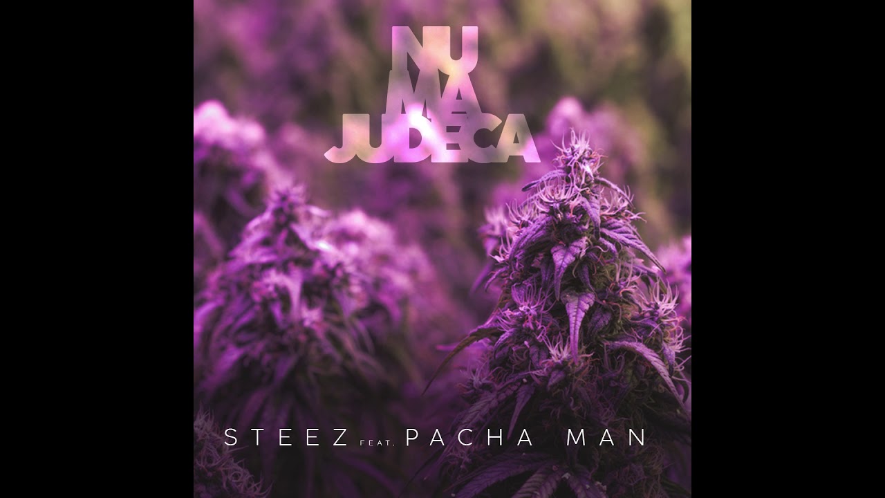 Steez Feat. Pacha Man - Nu mă judeca