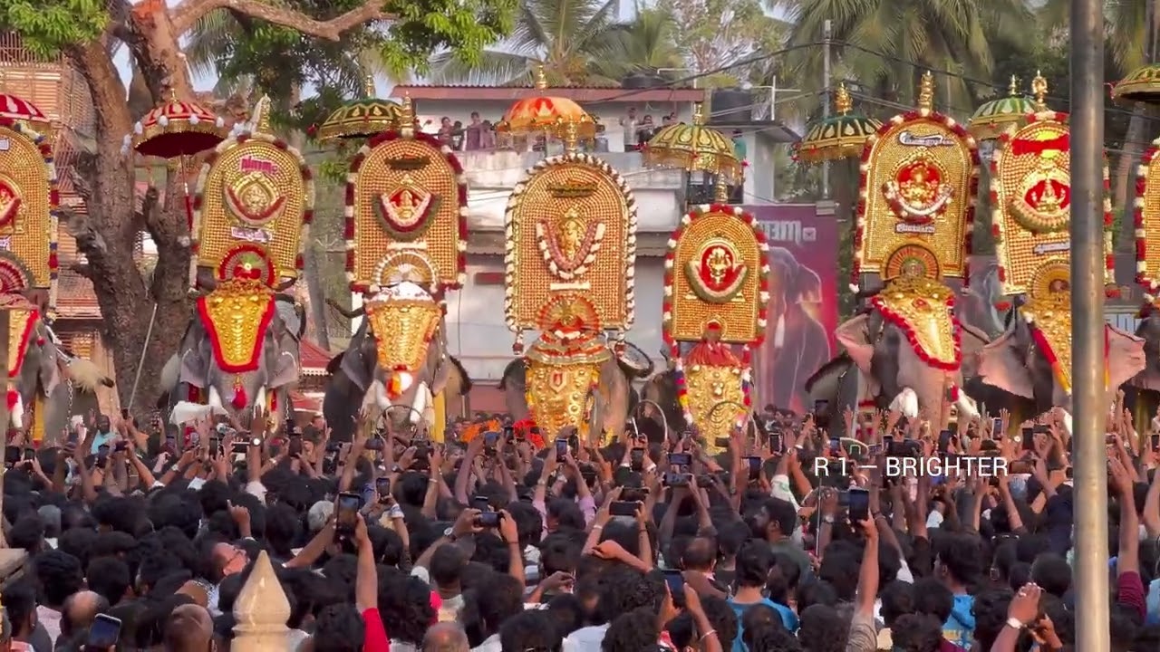 ചീരൻ കുളങ്ങര പൂരം 🐘ഇപ്രാവശ്യത്തെ പൂരം ഇവിടെ ആഘോഷിച്ചാലോ 👌