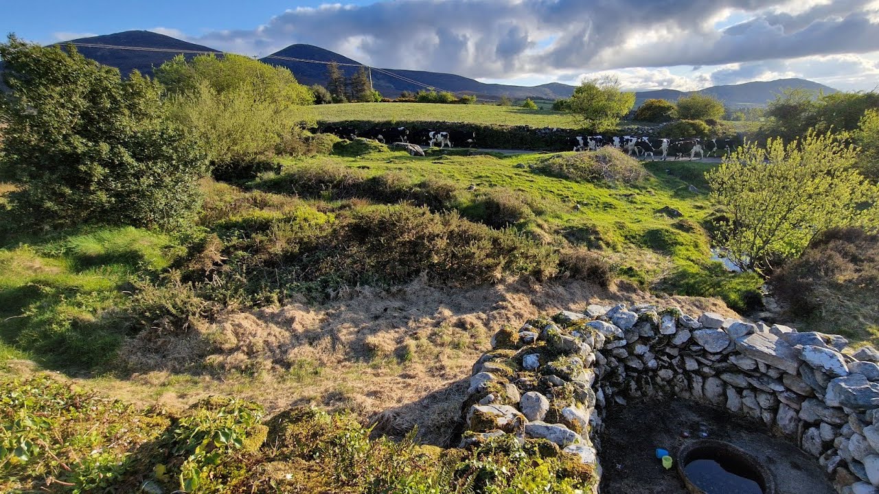 May Day 2024. The City of Shrone. Cathair Crobh Dearg. Rathmore, Co Kerry.