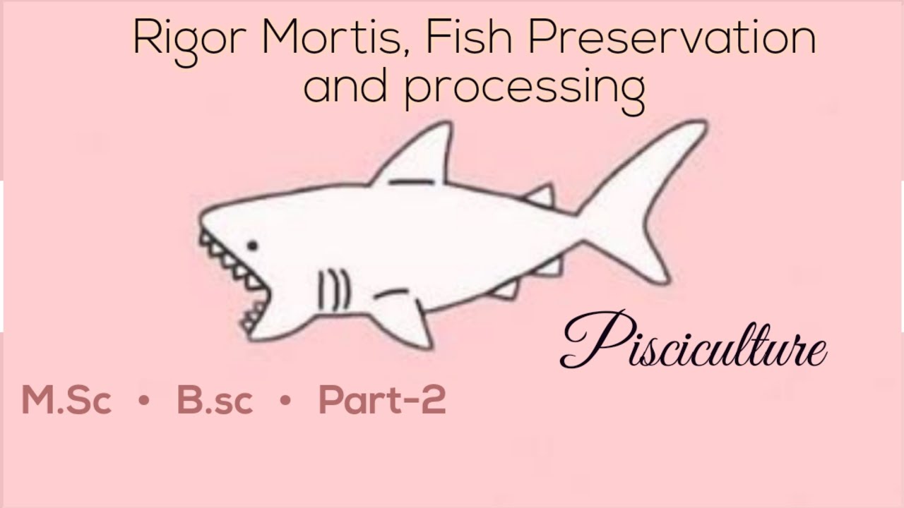 2/3) Fish Preservation and Processing|M.sc B.sc |Pisciculture (Aquaculture)| Explanation