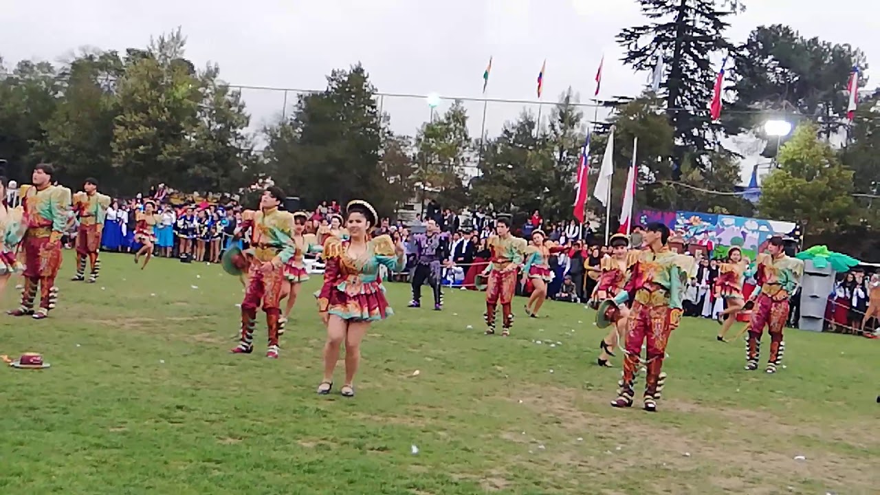 Fiestas patrias 2019 colegio San Carlos Puente Alto