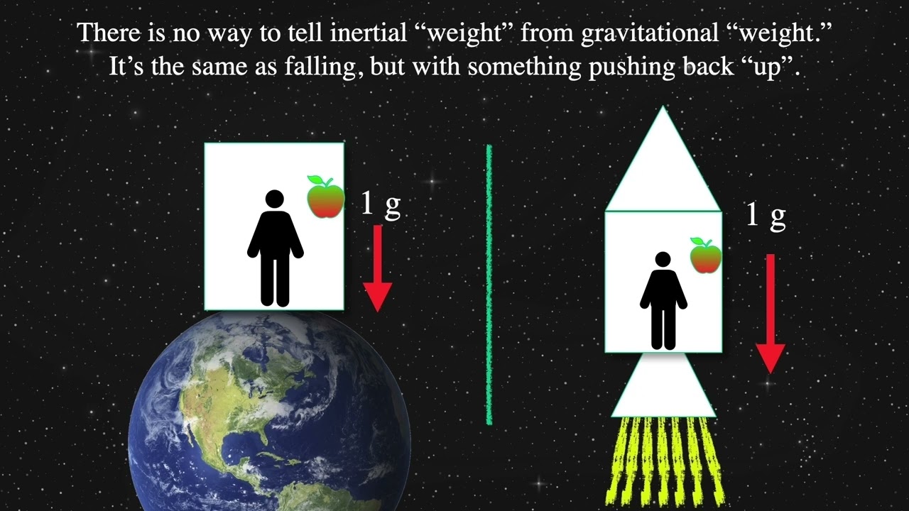 Thought Experiments for the Einstein Equivalence Principle