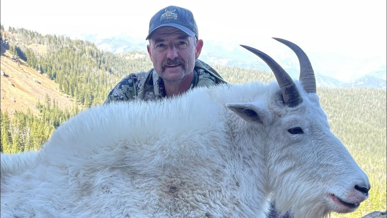 BILLY GOAT || MONTANA MOUNTAIN GOAT HUNT