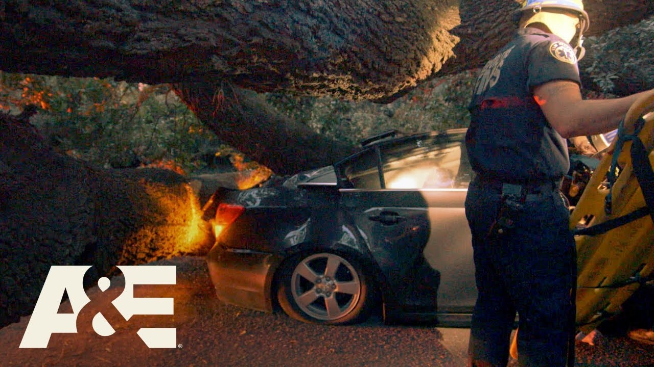 Nightwatch: Man Trapped After MASSIVE Tree Crushes Car | A&E