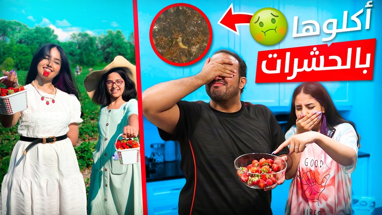 مزرعة الفراولة وصدمة الحشرات - انتبهوا