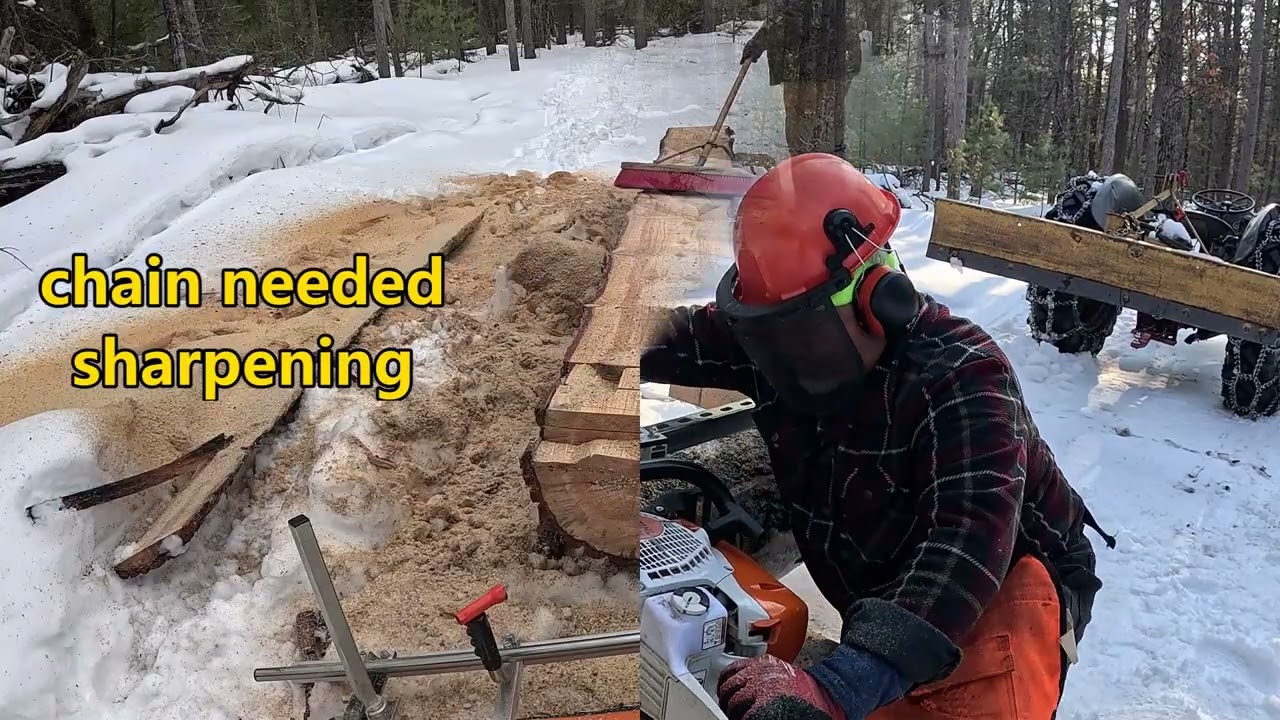 Alaskan Sawmilling white pine in Northern Michigan, thunder echoes in forest. #forest #snow #thunder