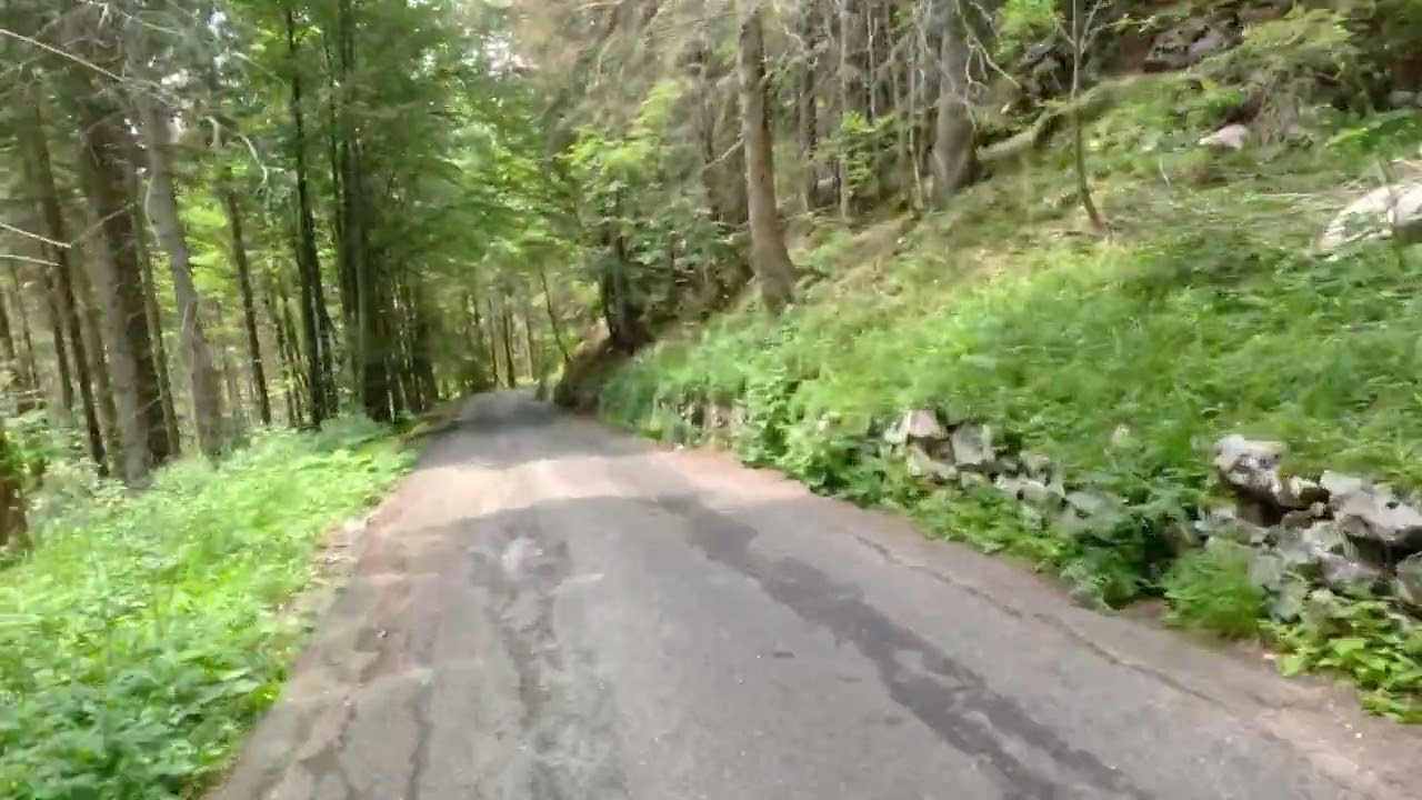 Passo Vivione down