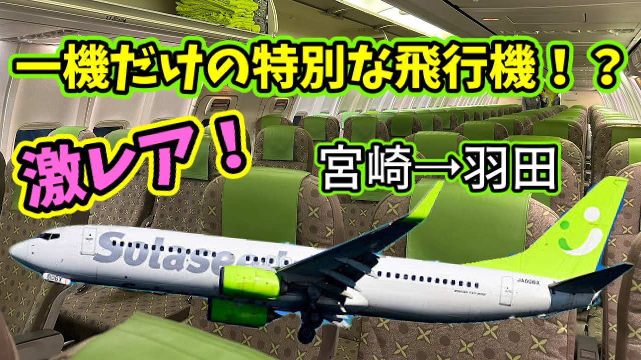 ソラシドエアの激レア機に搭乗‼️宮崎→羽田搭乗レビュー！＃ソラシドエア