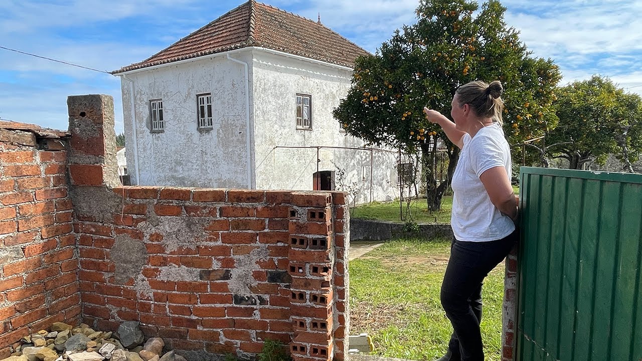 Project Plan: Land, House and Outbuildings on Our Small Farm in Portugal - #2