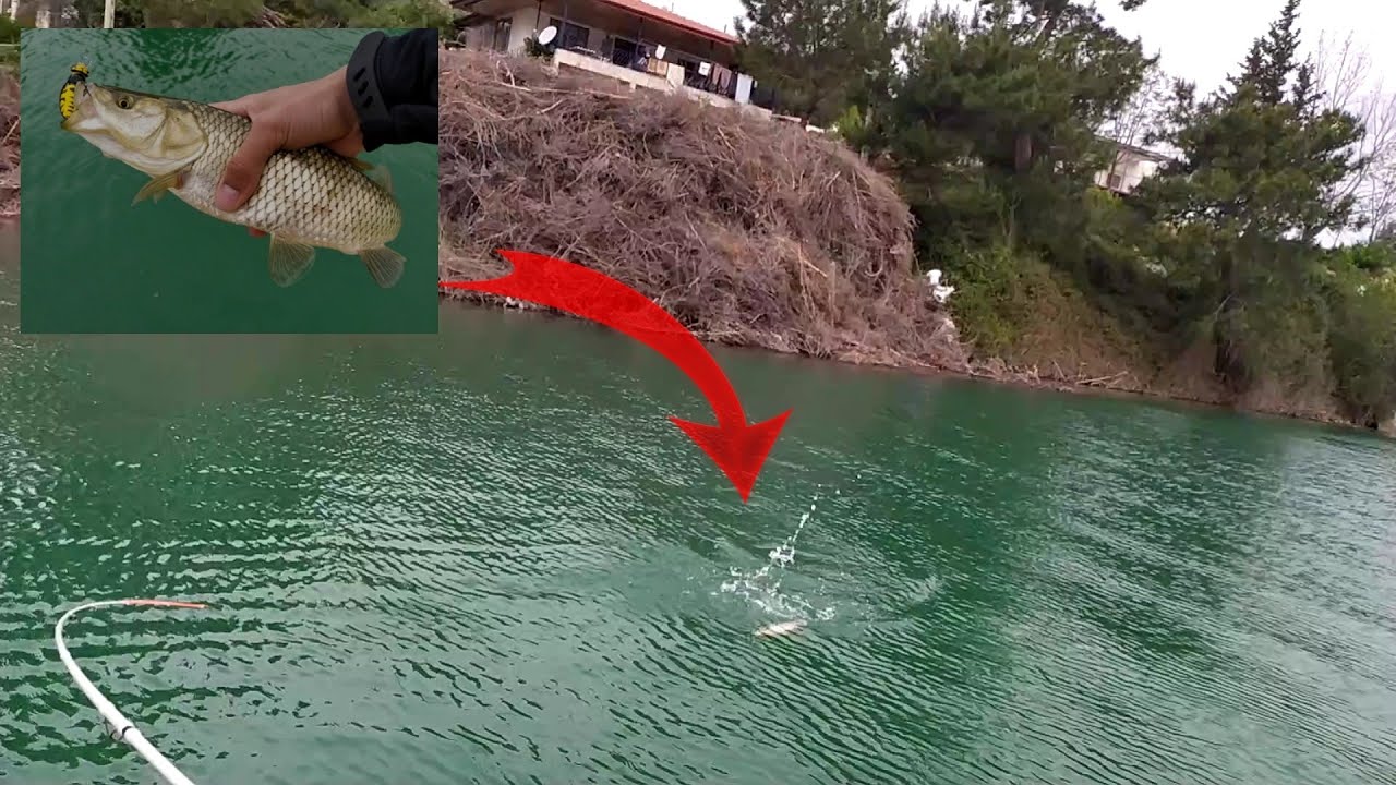 BALIK YAKALAMAKTAN YORULDUM! / LRF OLTA AKBALIK AVI! /YAKALA BIRAK KASNA AVI! /CHUB FISHING