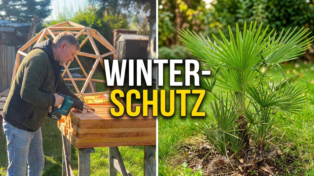 DIY - Wie wir unseren Mini-Geodome als Winterschutz gebaut haben.