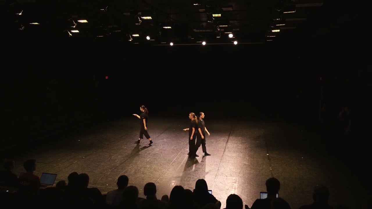 the voices hide in the shadows