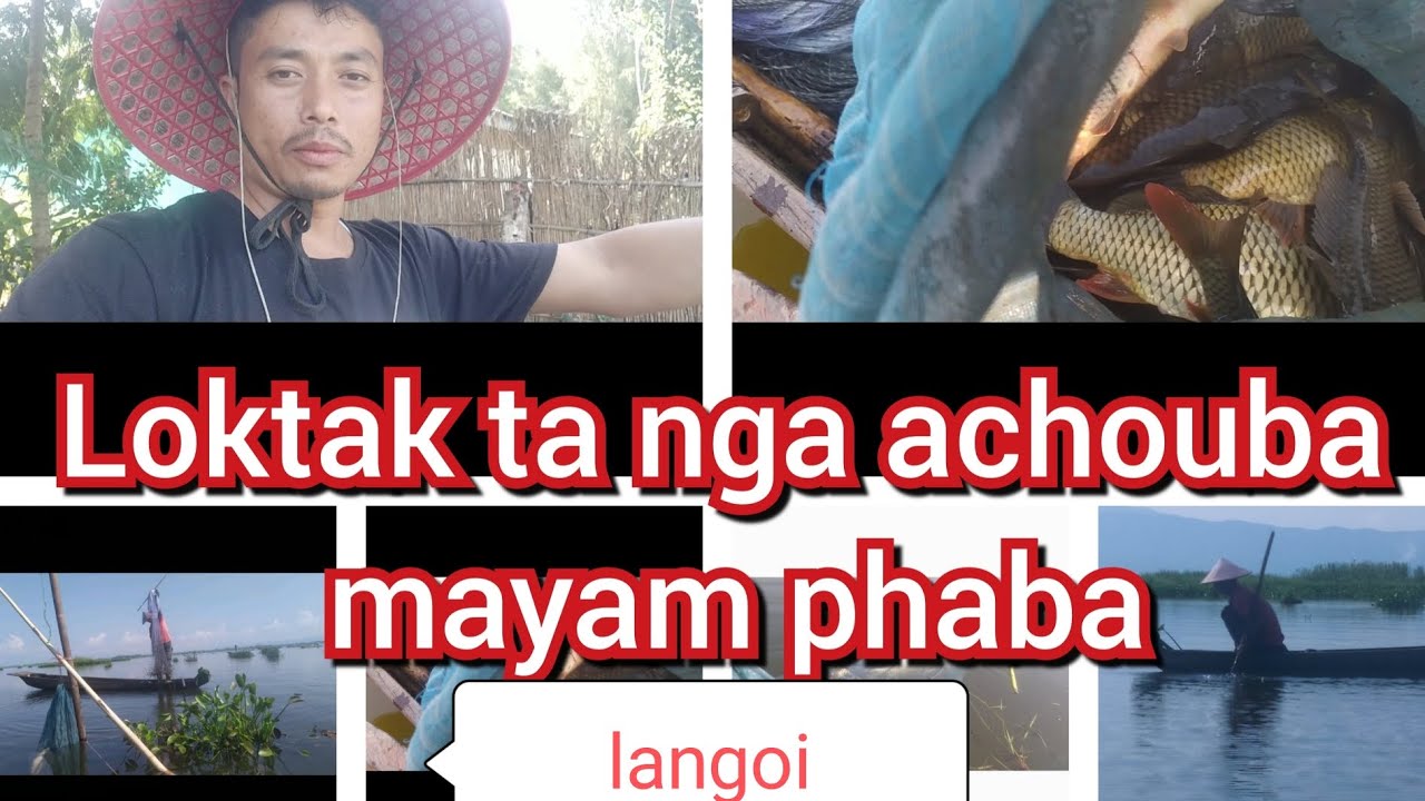 Loktak ta nga achouba mayam phaba langoi touraga