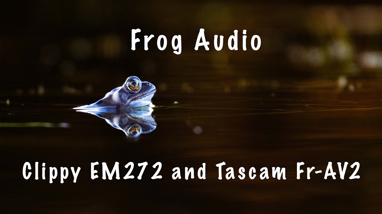 Croaking Frogs : Clippy EM272 Micbooster Nature Sounds