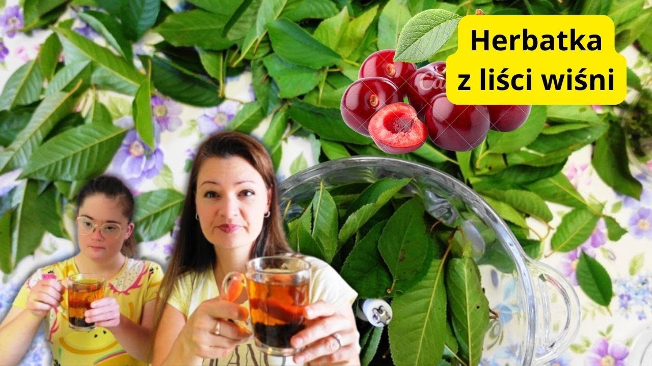 Pomaga na odporność i reumatyzm!🍵Herbatka z liści WIŚNI Przepis na utlenianą mocną i pyszną🍵