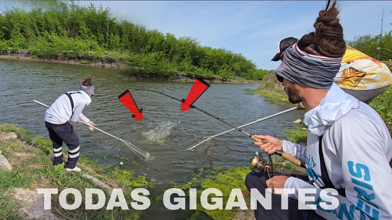 TERRIBLE PESCA, MAS DE 15 SACAMOS, MIRA que CAMPING rancho colorado, Lobos, GIGANTES, LLEGAS en AUTO